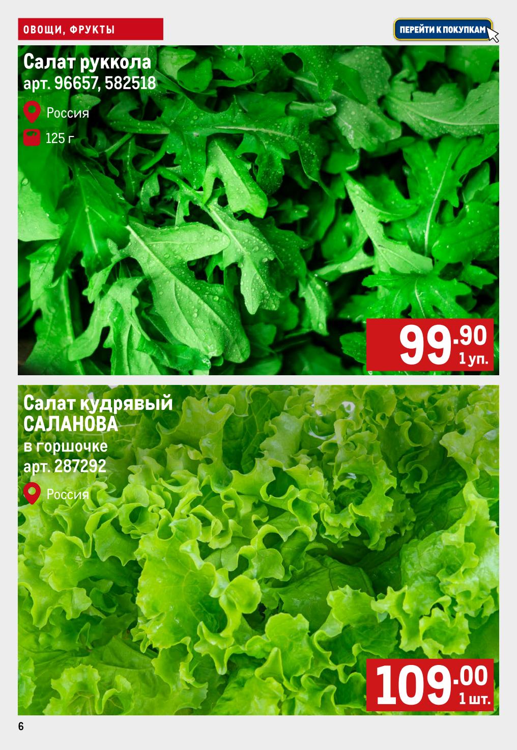 Салат руккола 125 г за 99.90р. Салат кудрявый Саланова в горшочке за 109р. Всегда свежая зелень. Предложение действует до 24.09.2025.